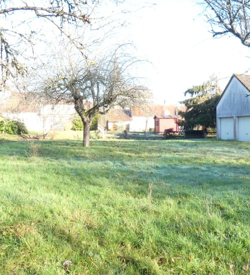 Média de iad France - Aurélie Thomas - n°5