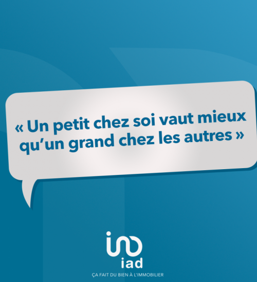 Média de iad France - Cécile Champailler - n°3