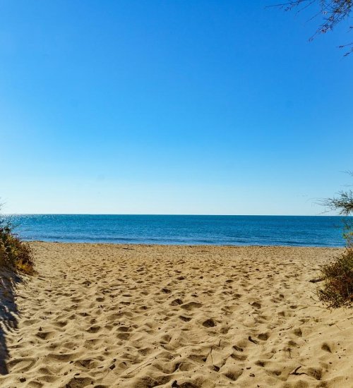 Média de Optimhome - Benjamin JEAN - n°2