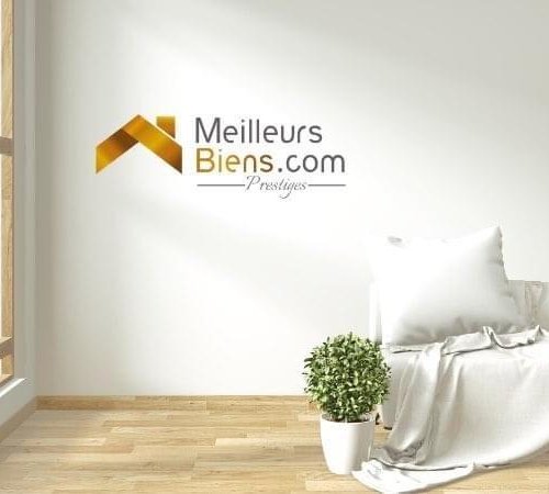 Média de MeilleursBiens.com - Sarah Leclerc-Boissonneau - n°3