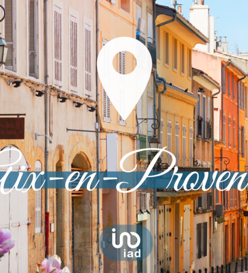 Média de iad France - Vanessa Genod - n°6