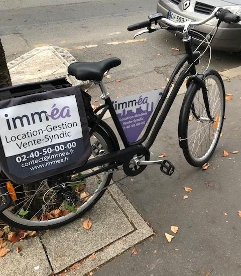 Média de Imméa - n°3