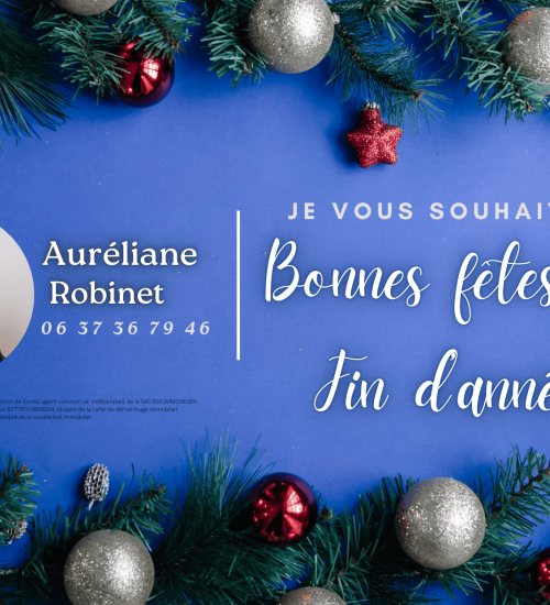 Média de Qléïa Immobilier - Auréliane Robinet - n°2