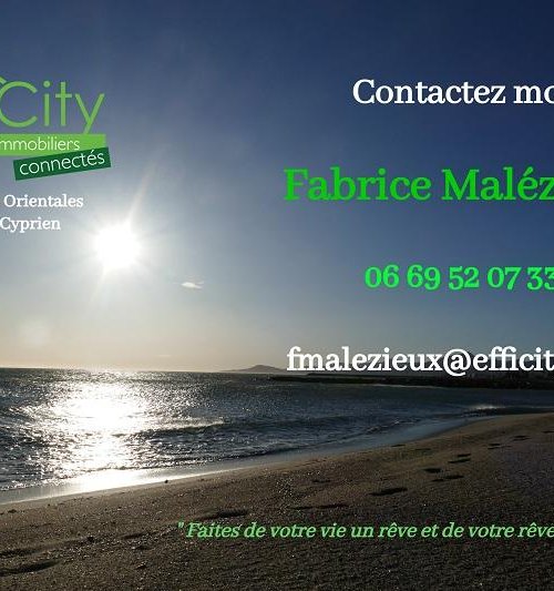 Média de efficity - Fabrice Malezieux - n°2