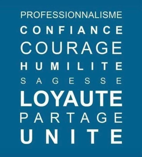 Média de iad France - Estelle Pellegrino - n°3